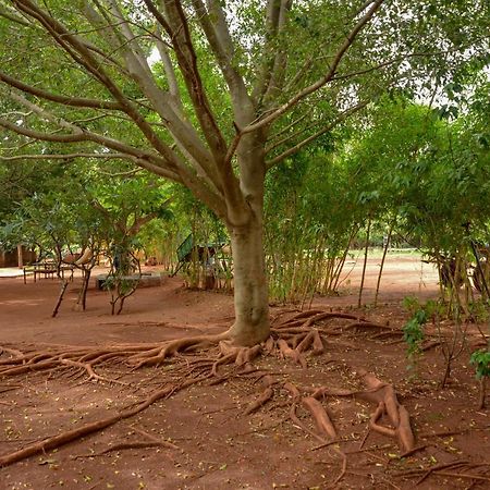 Our Native Village Bangalore Exterior photo