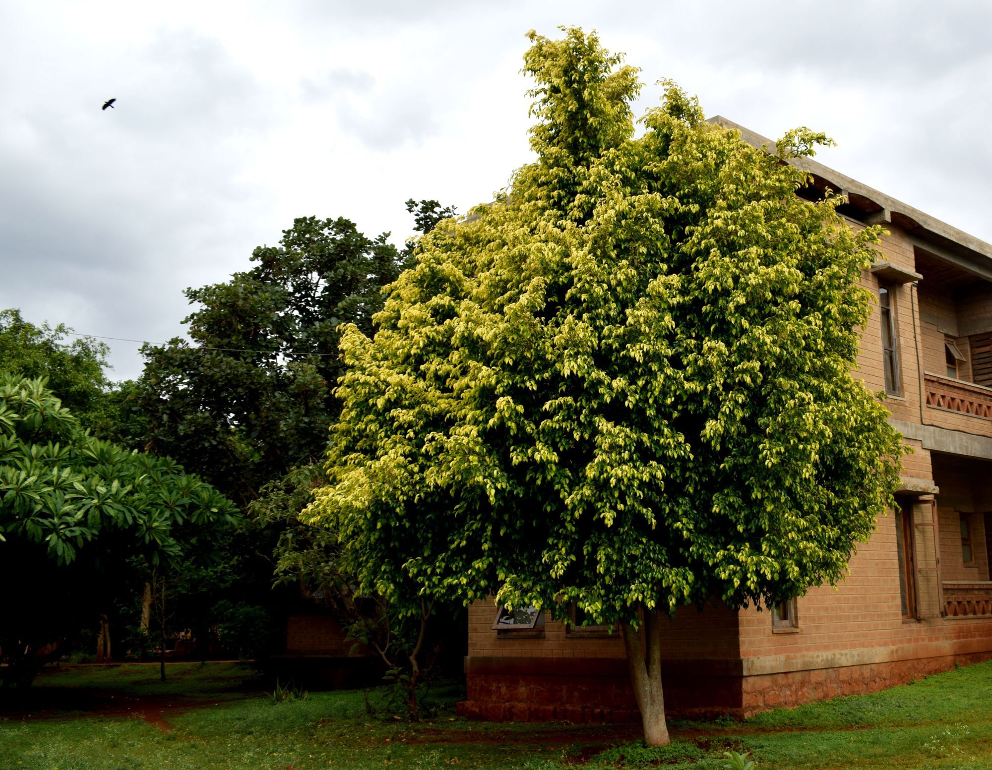 Our Native Village Bangalore Exterior photo