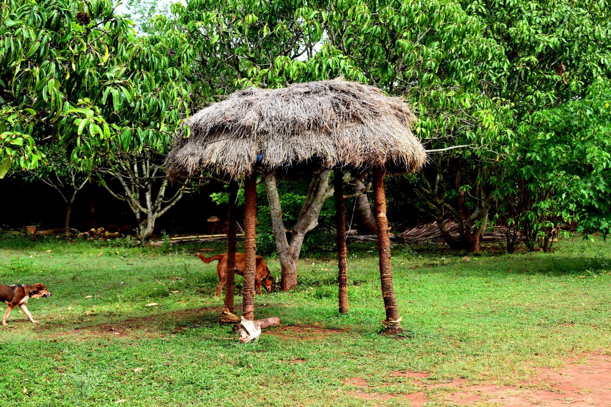 Our Native Village Bangalore Exterior photo